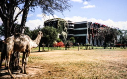 Taita Hills Game Lodge