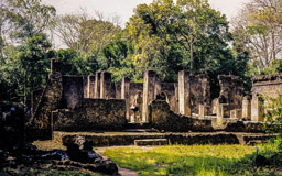 Gedi liegt fünf Kilometer vom Meer entfernt und und 15 KM südlich von Malindi