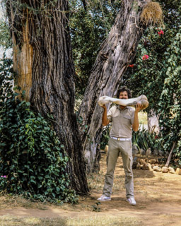 ein Stück vom Elefanten